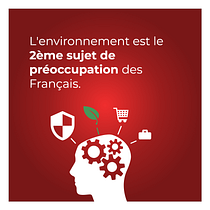 Mon projet du cours : Visualisation graphique : raconter des histoires complexes à travers des images simples. Un progetto di Gestione progetti di design, Graphic design, Design dell’informazione, Marketing, Infografica e Comunicazione di anncycherry - 14.12.2021