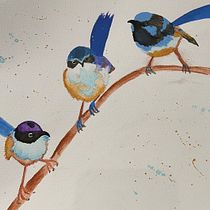 My project in Artistic Watercolor Techniques for Illustrating Birds course. Traditional illustration, Watercolor Painting, Realistic Drawing, and Naturalistic Illustration project by Jen Kingi - 12.15.2021
