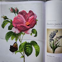 Mi Proyecto del curso: Introducción a la pintura con plastilina. Een project van Craft,  Beeldende kunst, Schilderij y Creativiteit met kinderen van Anabell Jorge - 15.12.2021