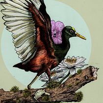 Mi Proyecto del curso: Ilustración naturalista con bolígrafo -Jacana. Projekt z dziedziny Trad, c, jna ilustracja,  R, sunek, R, sunek realist, czn, Ilustracja naturalist i czna użytkownika Mauricio Villalba - 15.10.2021
