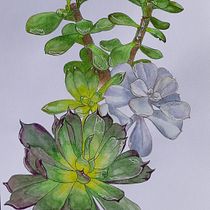 Mon projet du cours : Carnet de croquis botanique : une approche méditative. Ilustração tradicional, Esboçado, Desenho, Pintura em aquarela, Ilustração botânica, e Sketchbook projeto de nseguintremblay - 16.12.2021