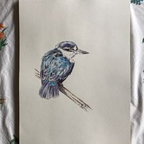 My project in Naturalist Illustration with Ballpoint Pen  course. Projekt z dziedziny Trad, c, jna ilustracja,  R, sunek, R, sunek realist, czn, Ilustracja naturalist i czna użytkownika Jeni Bylsma - 17.12.2021