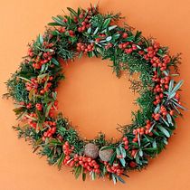 Mi Proyecto del curso: Creación de coronas navideña con frutos y plantas del campo. Design, Design de interiores, Paisagismo, DIY, Design floral e vegetal, e Design têxtil projeto de Lucia S. Madrid - 17.12.2021