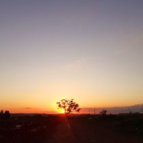 Meu projeto do curso: Introdução à fotografia aérea com drones. Un projet de Photographie, Vidéo , et Photographie extérieure de Lindauro Alves Coutinho Jr - 18.12.2021