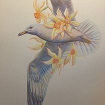 My project in Surrealist Illustration Inspired by Nature course. Traditional illustration, Pencil Drawing, Drawing, Artistic Drawing, Naturalistic Illustration, and Colored Pencil Drawing project by imp_prints_art - 12.18.2021