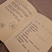 My project in Introduction to Illustrated Bullet Journaling course. Projekt z dziedziny Trad, c, jna ilustracja, Craft, T, pografia,  R, sunek, R, sunek botaniczn, DIY,  Pismo dekorac i jne użytkownika Petra Wänerskog - 18.12.2021