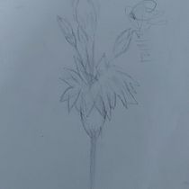 Mi Proyecto del curso:las flores del mañana. Design, Traditional illustration, Fine Arts, Painting, Creativit, Creating with Kids, and Sketchbook project by emflores71 - 12.18.2021
