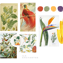 Mon projet du cours : Décor floral : compositions joyeuses et colorées. Design de interiores, Paisagismo, Decoração de interiores, DIY, e Design floral e vegetal projeto de Sarah Koza - 18.12.2021