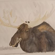 My project in Experimental Watercolor Techniques for Beginners course. Traditional illustration, Fine Arts, Watercolor Painting, and Naturalistic Illustration project by Didier Van Impe - 12.18.2021