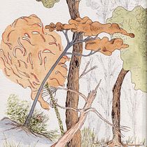 Mi Proyecto del curso: Relatos ilustrados: de la idea al papel. Traditional illustration, Painting, Watercolor Painting, Narrative, Pencil Drawing, and Drawing project by chiquitin - 12.19.2021