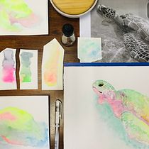 The path to a neon turtle. Un projet de Illustration traditionnelle, Aquarelle, Dessin réaliste et Illustration naturaliste de Sally Hay - 16.12.2021