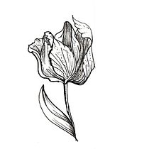 Mi Proyecto del curso: Tatuaje botánico con puntillismo. Ilustração tradicional, Desenho de tatuagens, Ilustração botânica, e Design projeto de Celeste Marina Fasio - 02.04.2022