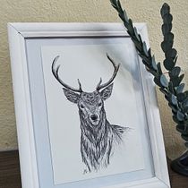 Meu projeto do curso: Ilustração naturalista à caneta. Projekt z dziedziny Trad, c, jna ilustracja,  R, sunek, R, sunek realist, czn, Ilustracja naturalist i czna użytkownika Sabrina Eliza Rodrigues - 18.12.2021