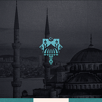 university team logo. Design, Br, ing, Identit, Graphic Design, and Logo Design project by Owais Daabes - 12.20.2021