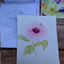 Meu projeto do curso: Aquarela botânica: ilustre a anatomia das flores. Un progetto di Illustrazione tradizionale, Belle arti, Pittura, Disegno, Pittura ad acquerello e Illustrazione botanica di Samara de Moura - 18.12.2021