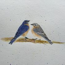 My project in Artistic Watercolor Techniques for Illustrating Birds course. Traditional illustration, Watercolor Painting, Realistic Drawing, and Naturalistic Illustration project by chrislyhne46 - 12.21.2021