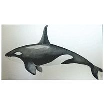Mi Proyecto del curso: Técnicas de ilustración naturalista: ballenas en acuarela. Un progetto di Illustrazione tradizionale, Illustrazione naturalistica e Disegno artistico di nureggie6 - 18.12.2021