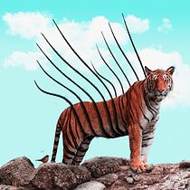 Mon projet du cours : Photomontage et illustrations fantastiques sur Photoshop. Photograph, Collage, Photo Retouching, Digital Illustration, Photographic Composition, and Photomontage project by leny_garcia - 12.22.2021