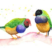 My project in Artistic Watercolor Techniques for Illustrating Birds course. Traditional illustration, Watercolor Painting, Realistic Drawing, and Naturalistic Illustration project by Oliwia - 12.22.2021