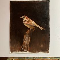 My project in Classical Oil Painting for Naturalist Bird Portraiture course. Fine Arts, Painting, Oil Painting, and Naturalistic Illustration project by naomiclarkturner - 12.28.2021