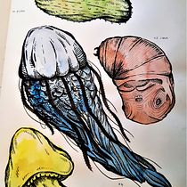Mijn project van de cursus: Dagelijks schetsen als creatieve inspiratie. Traditional illustration, Sketching, Creativit, Drawing, and Sketchbook project by doornboozzje - 12.23.2021