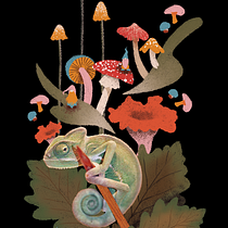 Funghi&Gnomes - projeto de Ilustração flat com Photoshop . Traditional illustration, Digital Illustration, and Digital Painting project by Luiza C. Canto - 12.20.2021