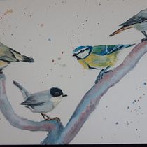 My project in Artistic Watercolor Techniques for Illustrating Birds course. Traditional illustration, Watercolor Painting, Realistic Drawing, and Naturalistic Illustration project by elenueyre - 02.06.2022