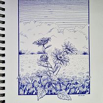 My project in Dip Pen and Ink Illustration: Capturing The Natural World course. Een project van  Tekening,  Artistieke tekening, Sketchbook,  Illustratie met inkt y Naturalistische illustratie van Alexia Chiscan - 24.12.2021