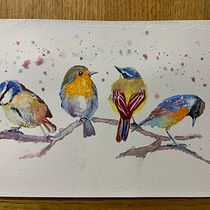 My project in Artistic Watercolor Techniques for Illustrating Birds course. Traditional illustration, Watercolor Painting, Realistic Drawing, and Naturalistic Illustration project by robynic - 01.07.2022