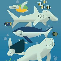 Costa Rican sea life. Final projecto // Ilustración vectorial: personalidad y color. Traditional illustration, Graphic Design, Vector Illustration, and Digital Illustration project by marvin_ocampo_art - 12.26.2021