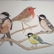 My project in Artistic Watercolor Techniques for Illustrating Birds course. Traditional illustration, Watercolor Painting, Realistic Drawing, and Naturalistic Illustration project by Pamela Griffiths - 12.27.2021