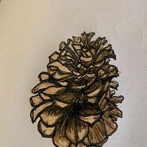 My project in Botanical Sketchbooking: A Meditative Approach course. Ilustração tradicional, Esboçado, Desenho, Pintura em aquarela, Ilustração botânica, e Sketchbook projeto de Amber St Clare - 28.12.2021
