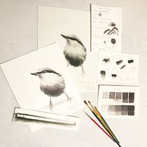 My project - Four Birds on a Branch - Artistic Watercolor Techniques for Illustrating Birds. Watercolor Painting, Realistic Drawing, and Naturalistic Illustration project by D.K. (Debra) Richardson - 12.26.2021
