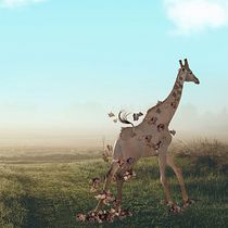 Mi Proyecto del curso: Fotomontaje e ilustraciones fantásticas en Photoshop. Photograph, Collage, Photo Retouching, Digital Illustration, Photographic Composition, and Photomontage project by Paty Hubler - 12.16.2021