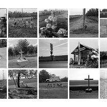 Descanso - San Joaquin County California USA. Photograph, Outdoor Photograph, Documentar, and Photograph project by David Tau - 12.23.2021