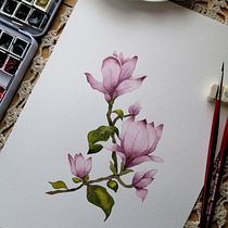 Mi Proyecto del curso: Acuarela botánica: ilustra la anatomía de las flores. Un proyecto de Ilustración tradicional, Bellas Artes, Pintura, Dibujo, Pintura a la acuarela e Ilustración botánica de Carmen Flores - 30.12.2021