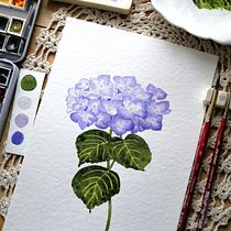 Mi Proyecto del curso: Ilustración botánica con acuarela. Ilustração tradicional, Artes plásticas, Pintura, Desenho, Pintura em aquarela e Ilustração botânica projeto de Carmen Flores - 30.12.2021