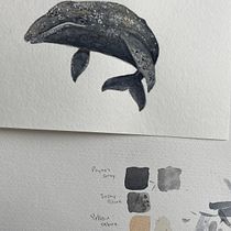 My Project in Naturalist Illustration Techniques: Whales in Watercolor - Gray Whale. Un progetto di Illustrazione tradizionale, Design di poster , Illustrazione digitale e Manga di Rhonda Bathurst - 25.12.2021