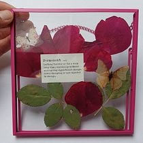 Meu projeto do curso: Técnicas básicas para prensar flores e plantas. Arts, Crafts, Fine Arts, Collage, DIY, Floral, and Plant Design project by João Nuno Oliveira - 12.30.2021