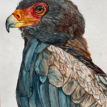 My project in Artistic Watercolor Techniques for Illustrating Birds course. Traditional illustration, Watercolor Painting, Realistic Drawing, and Naturalistic Illustration project by ingridydewet - 11.27.2021