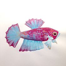 Mein Kursprojekt: Experimentelle Aquarelltechniken für Anfänger. Traditional illustration, Fine Arts, Watercolor Painting, and Naturalistic Illustration project by Susanne Weiss - 12.30.2021