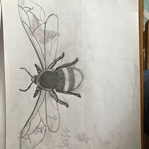 My project in Daily Sketching for Creative Inspiration course. Traditional illustration, Sketching, Creativit, Drawing, and Sketchbook project by Christina Radisic - 12.31.2021