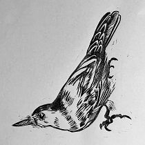 My project in Contemporary Printmaking with Linoleum course. Un progetto di Illustrazione tradizionale, Artigianato, Belle arti e Stampa di hannah_elisabeth - 31.12.2021