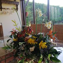 Meu projeto do curso: Design e criação de composições florais. Un progetto di Interior design, Paesaggismo, Interior Design, DIY e Design floreale e vegetale di Joana Regula - 02.01.2022