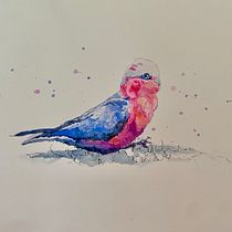 My project in Artistic Watercolor Techniques for Illustrating Birds course. Traditional illustration, Watercolor Painting, Realistic Drawing, and Naturalistic Illustration project by Monique Sartor - 01.02.2022