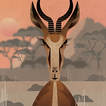 My project in Wildlife Illustration for Children's Books course. Un progetto di Illustrazione vettoriale, Illustrazione digitale e Illustrazione infantile di Gabriela Zimová - 03.01.2022