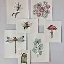 My project in Naturalist Illustrations with Watercolors: Drawing and Composition course. Traditional illustration, Drawing, Watercolor Painting, and Naturalistic Illustration project by Duong Nguyen - 01.03.2022