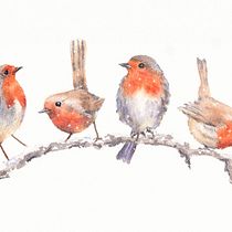 My project in Artistic Watercolor Techniques for Illustrating Birds course. Projekt z dziedziny Trad, c, jna ilustracja, Malowanie akwarelą, R, sunek realist, czn, Ilustracja naturalist i czna użytkownika ghislainerbw - 01.11.2021