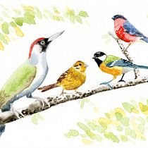 My project in Artistic Watercolor Techniques for Illustrating Birds course. Traditional illustration, Watercolor Painting, Realistic Drawing, and Naturalistic Illustration project by Neil Smith - 01.04.2022