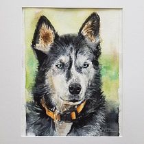 Mon projet du cours : Portraits expressifs d'animaux à l'aquarelle. Un projet de Illustration traditionnelle, Aquarelle, Dessin réaliste et Illustration naturaliste de Guylaine Lafortune - 04.01.2022